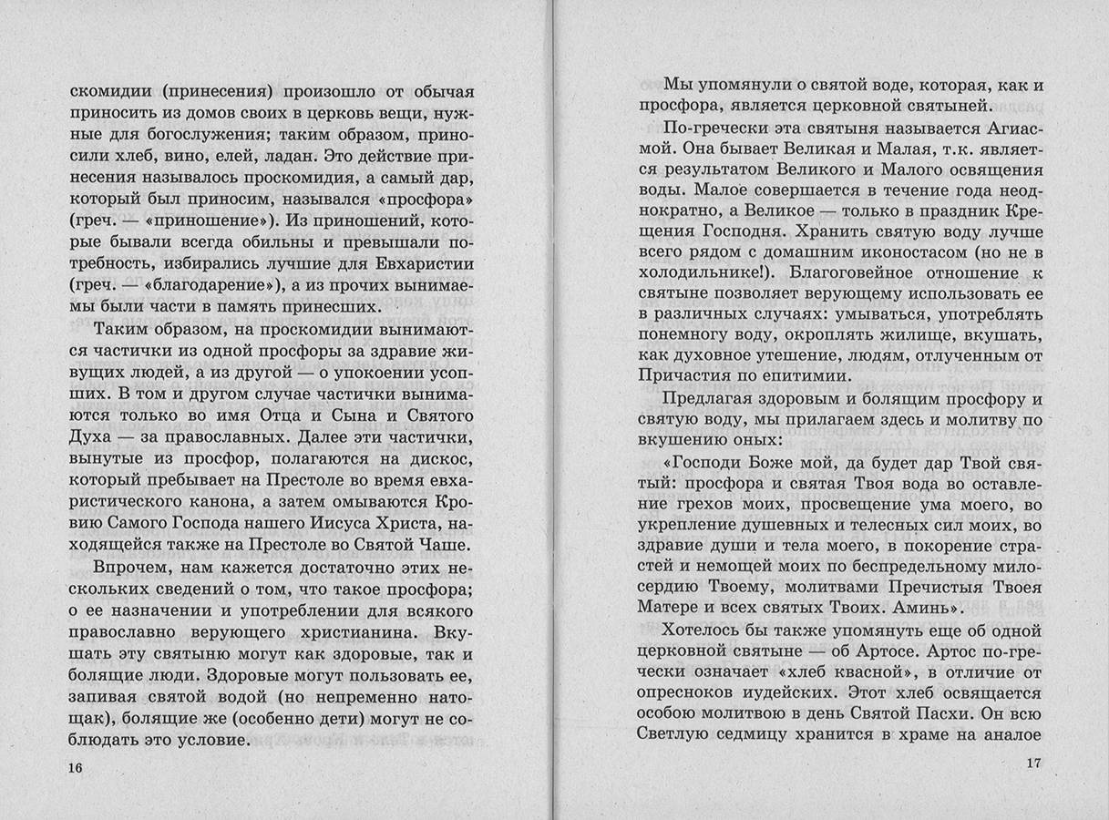 Если в православной семье заболел ребенок. Свящ. Виктор Грозовский (Сат.) (уценка)