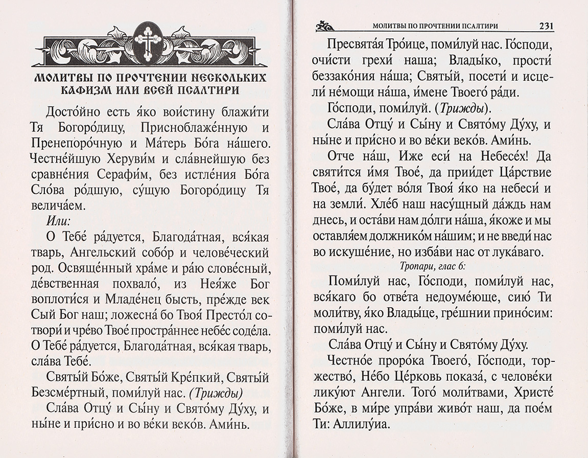 Пс (РП) крупный шрифт (уценка)