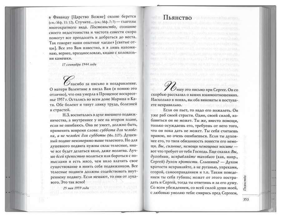 Внимай себе: Сборник писем. Игумен Никон (Воробьев) (уценка)