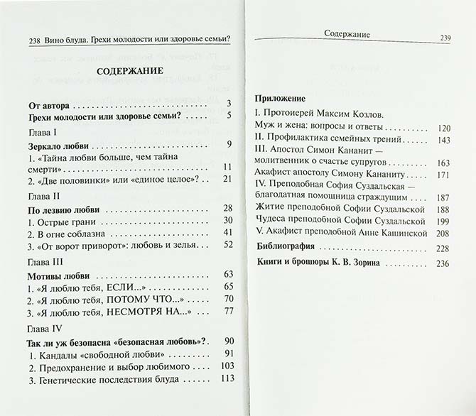 Вино блуда. Грехи молодости или здоровье семьи. Зорин К.В. (уценка)