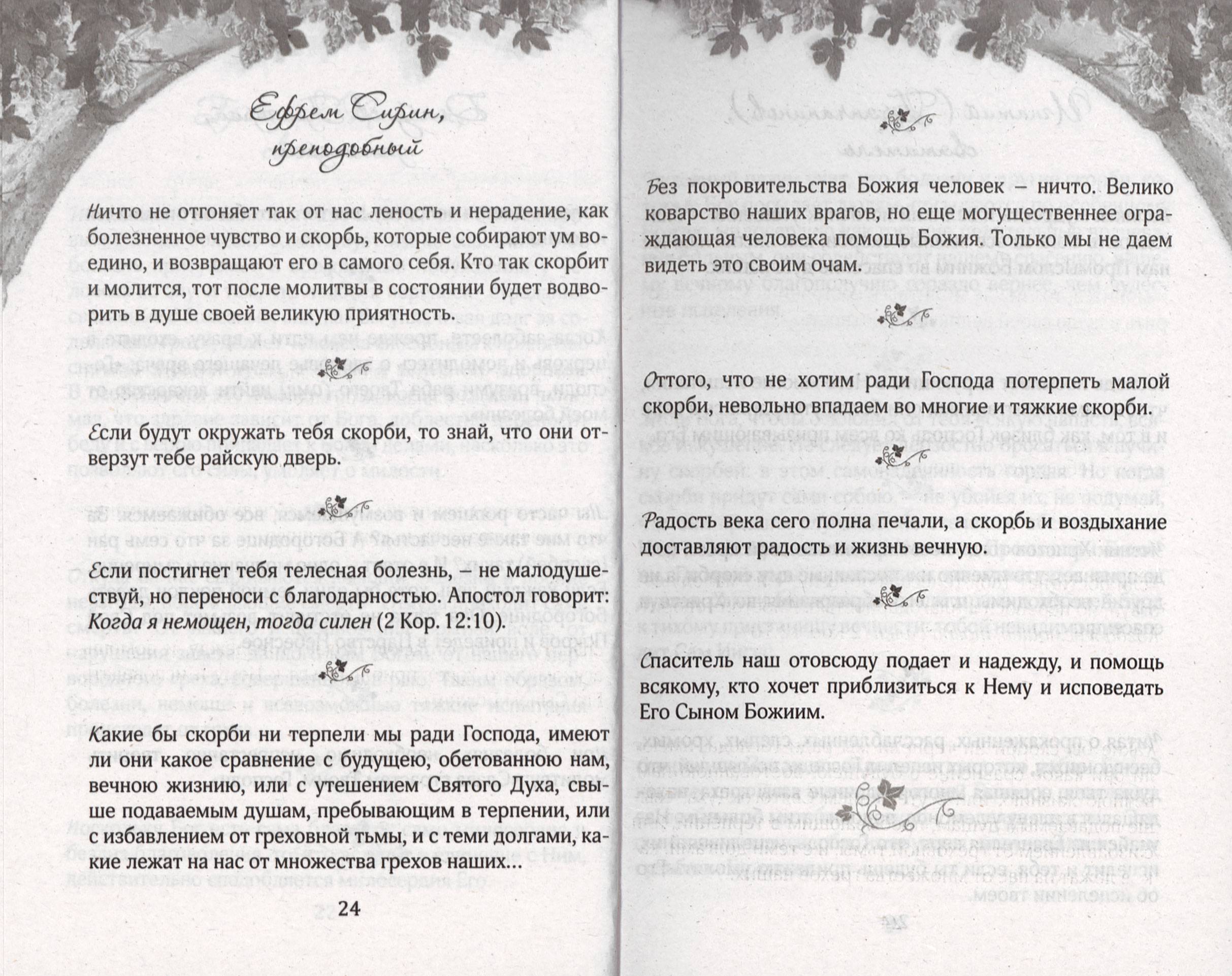 Терпением внидем в Рай (СДМ) (уценка)