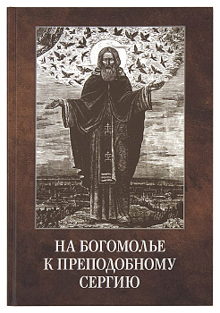 На богомолье к преподобному Сергию. Владимирова О.А. 