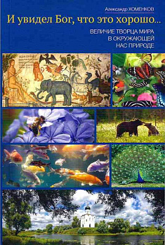 И увидел Бог, что это хорошо...Величие Творца мира в окружающей нас природе 