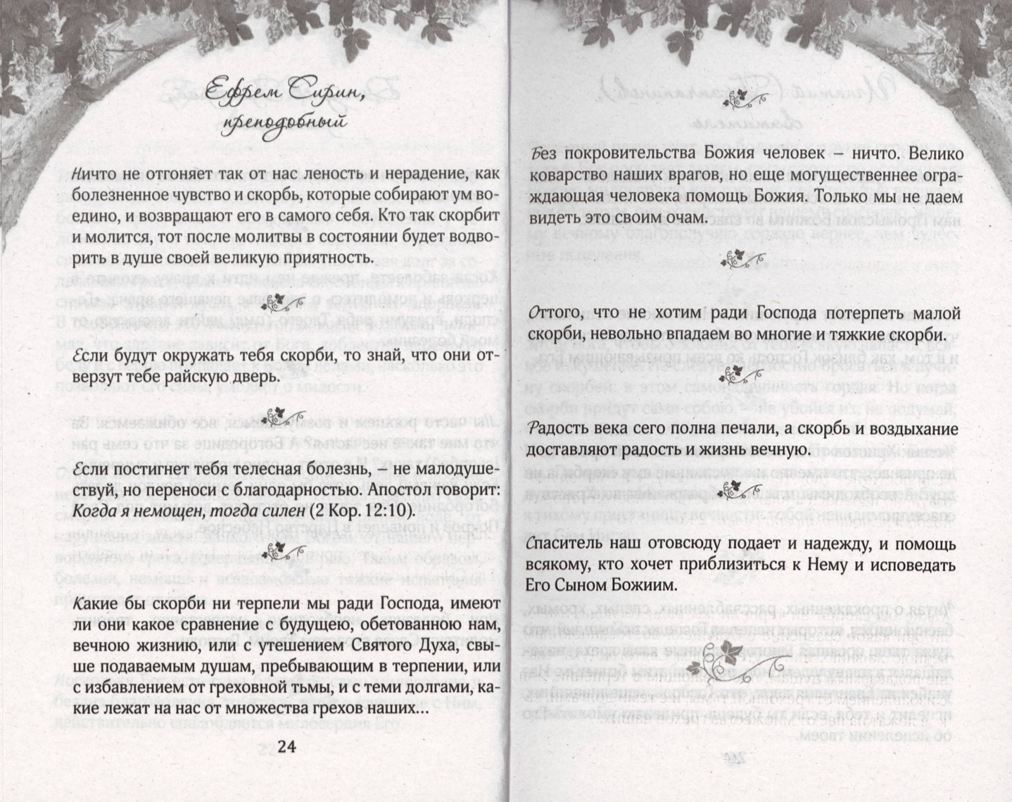 Терпением внидем в Рай (СДМ) (уценка)