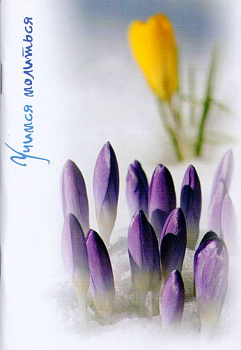 Учимся молиться. Краткий молитвослов для начинающих (уценка)