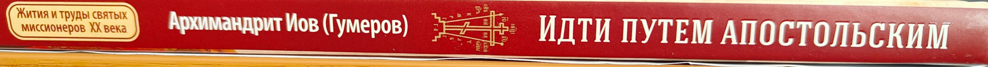 Идти путем апостольским. Жития и труды святых миссионеров XX века (Срет.) (уценка)